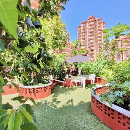 Magnolia House شقة *