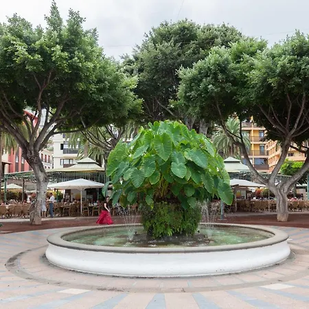 شقة Magnolia House